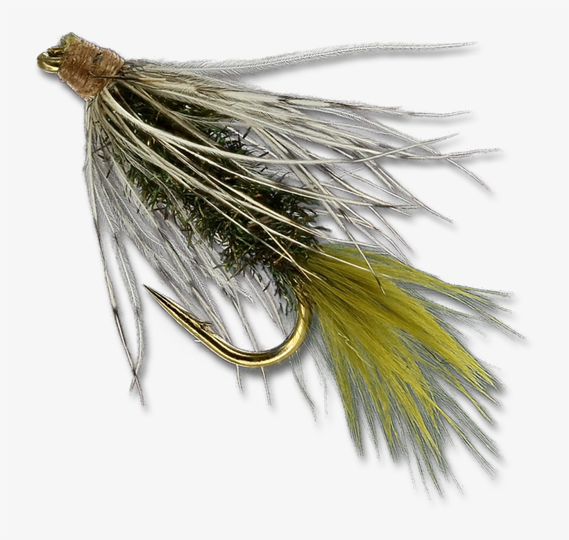 Norman's Wiggletail - Peacock - Feather, transparent png download