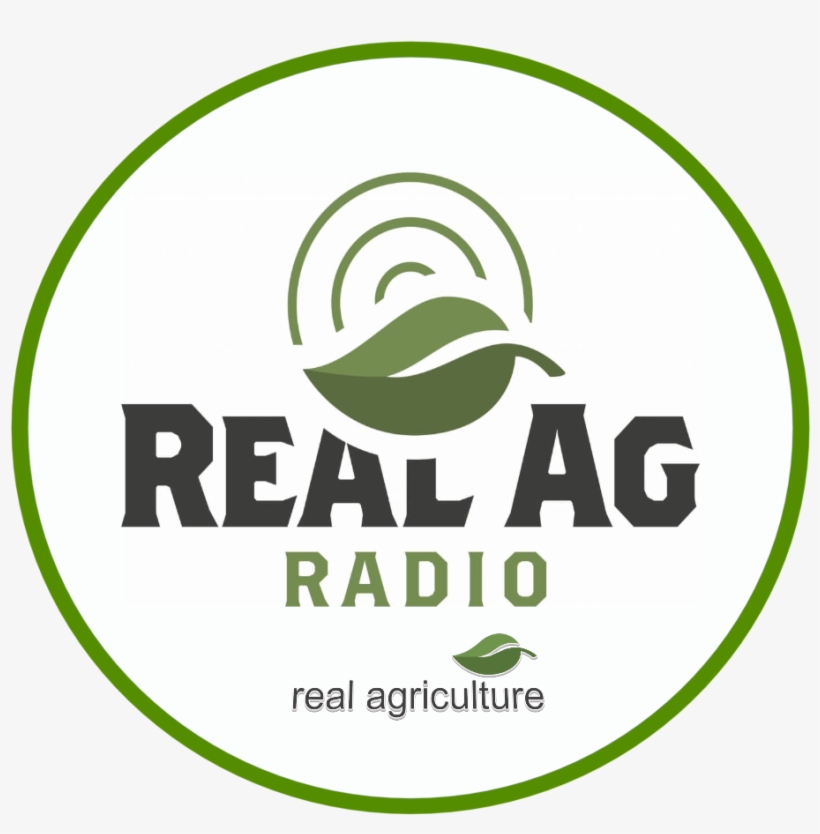 Realag Radio Logo Audio Circle 1 - Label, transparent png download