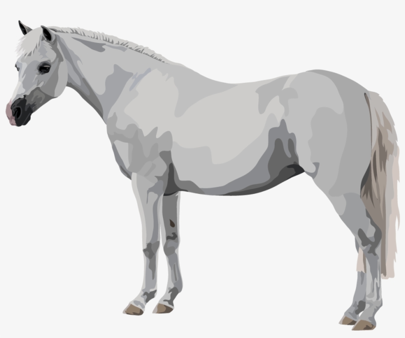Mustang Horse, transparent png download