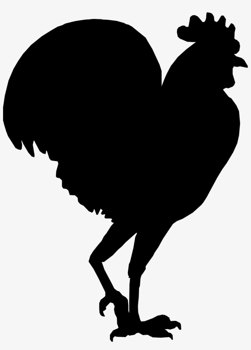 Vector - Galo Vetor Png, transparent png download