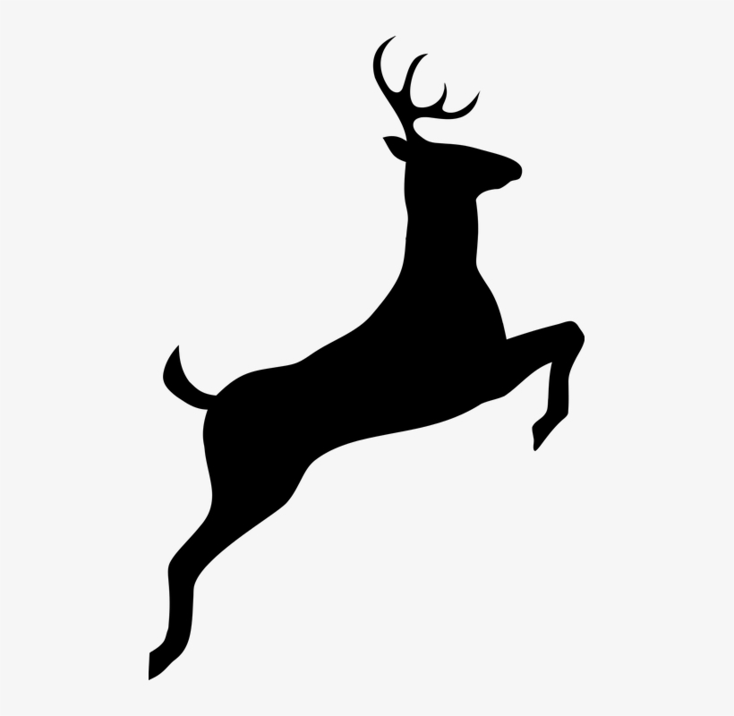 Deer, Silhouette Free Images On - Deer Black & White, transparent png download