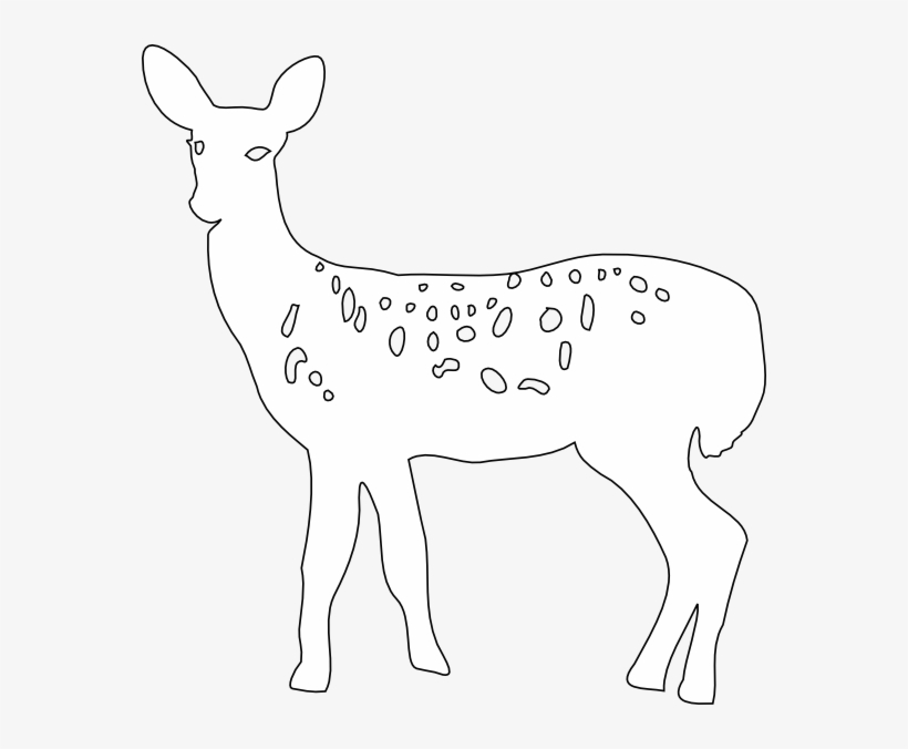 White-tailed Deer, transparent png download