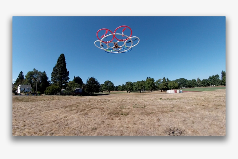 View Full Size - Tree, transparent png download