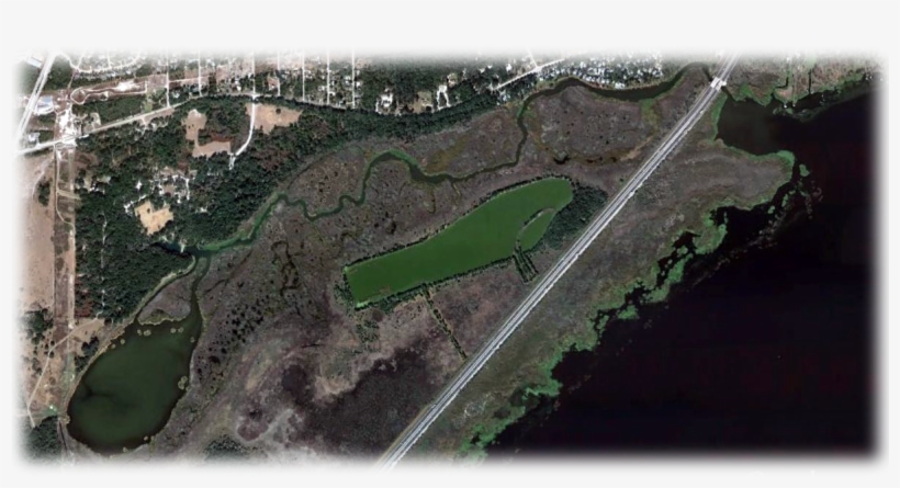 Gemini Springs Blueway - Aerial Photography, transparent png download