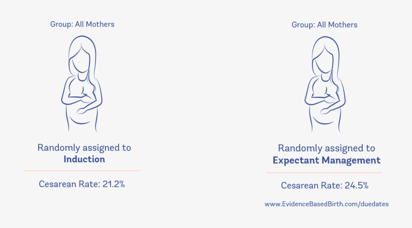 5%), Even After Taking Into Account Whether This Was - Paper, transparent png download