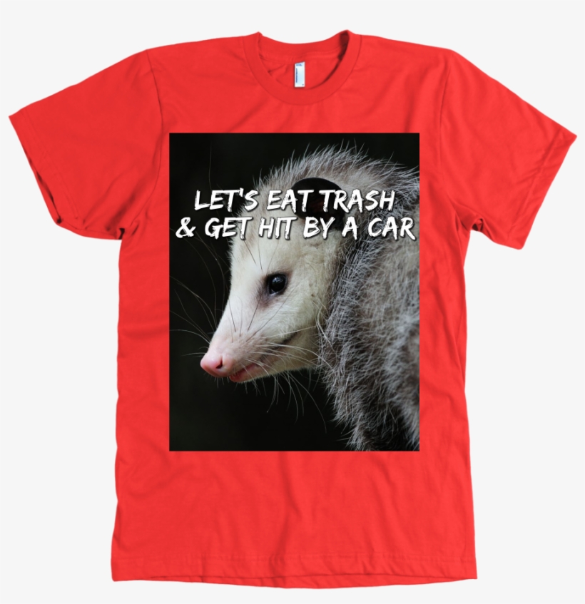 Lgfuapd Opossum - T-shirt, transparent png download