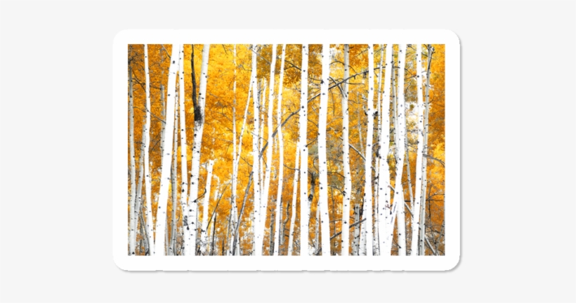 Color - Wood, transparent png download