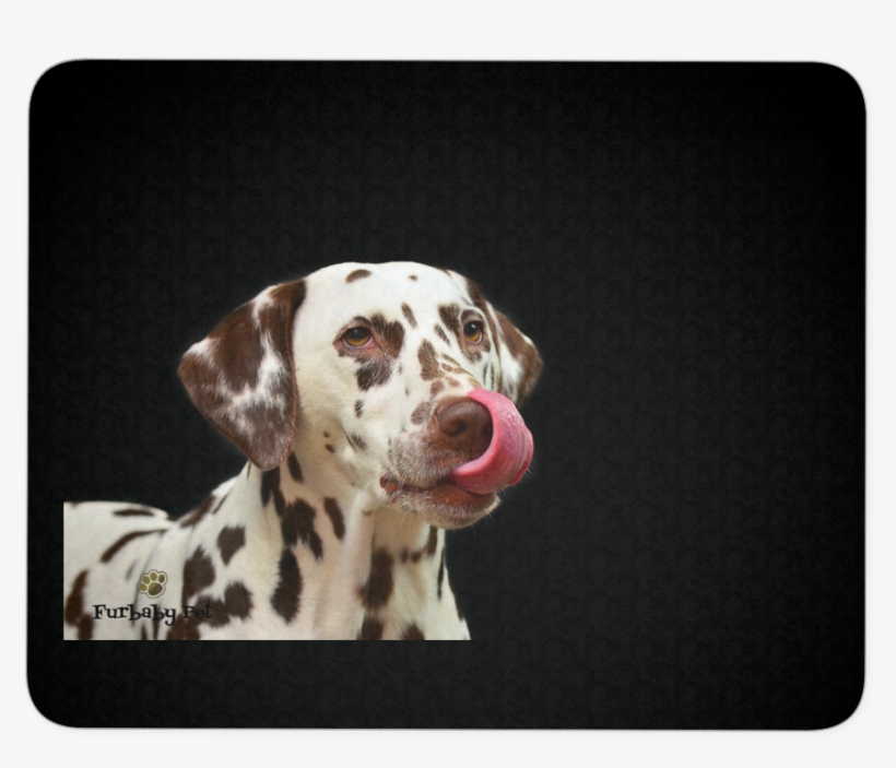 Dalmatian Mouse Pad - Dalmata Cariñoso, transparent png download
