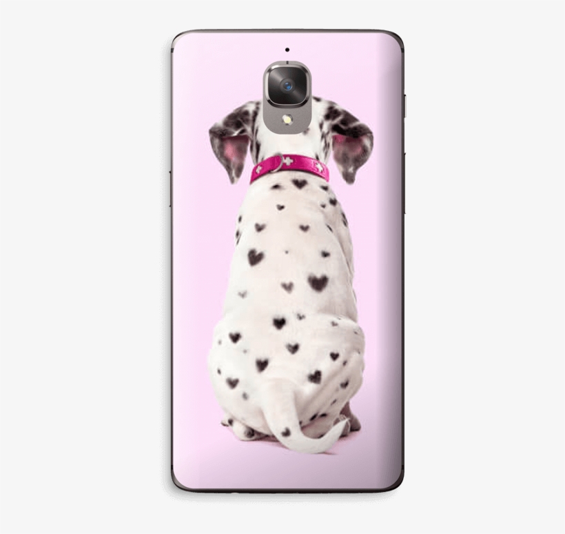 Dalmatian Love Skin Oneplus - Dalmatian Dog, transparent png download
