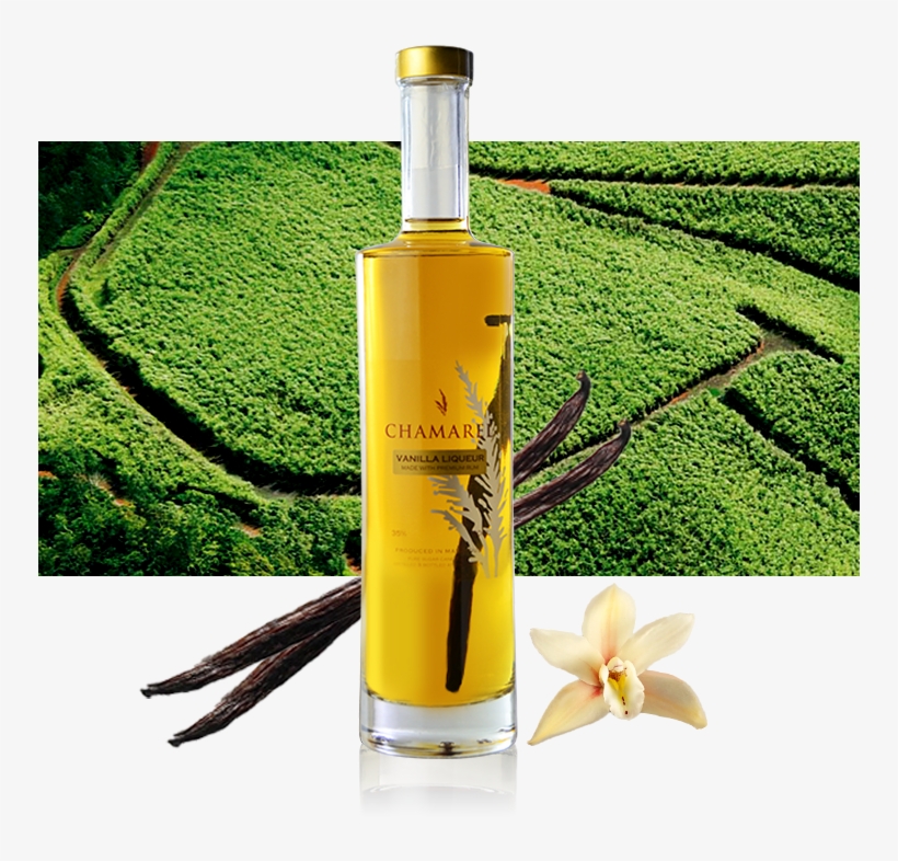 Vanilla Bottle Bg - Bottle, transparent png download