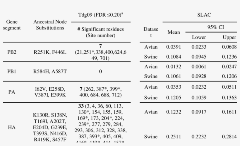 Node Reconstruction And Selection Pressures Of Ea-swine - Document, transparent png download