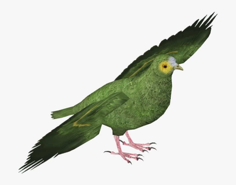 Negros Fruit Dove - Negros Fruit Dove Ptilinopus Arcanus, transparent png download
