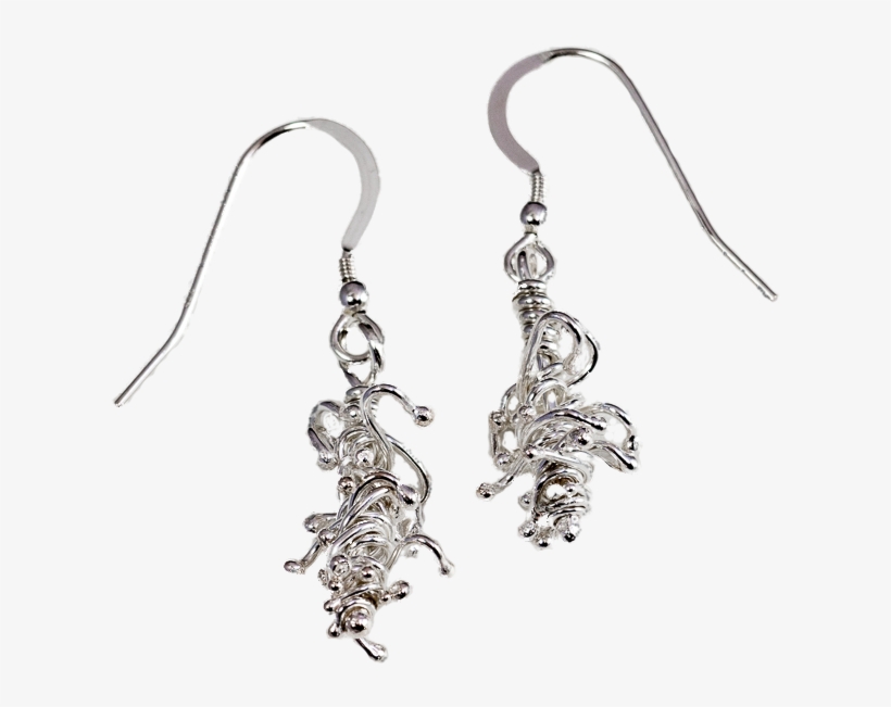 Honey Grevillea Earrings - Earrings, transparent png download