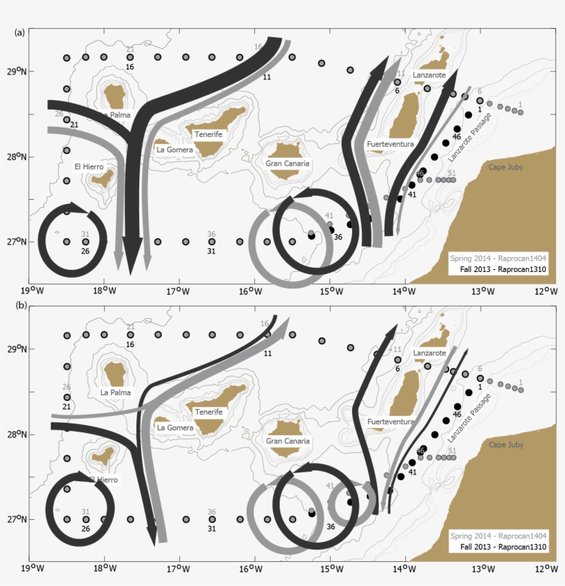 Ocean Circulation In The Canary Basin - Diagram, transparent png download