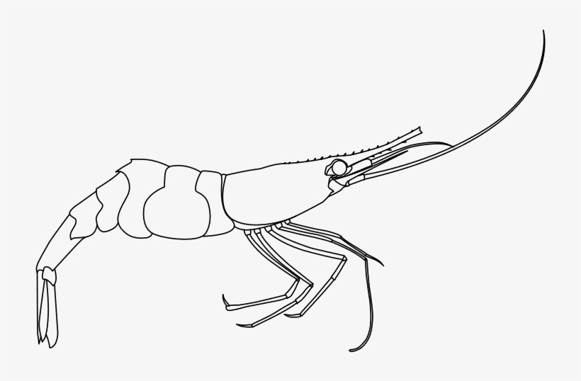 It Will Take Up A Bit More Room From A Storage Standpoint - Line Art, transparent png download