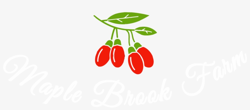 4577 X 2333 3 - Goji Berries Clipart Png, transparent png download