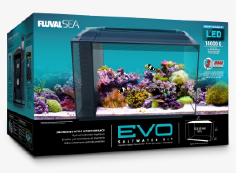 Fluval Evo Aquarium, transparent png download