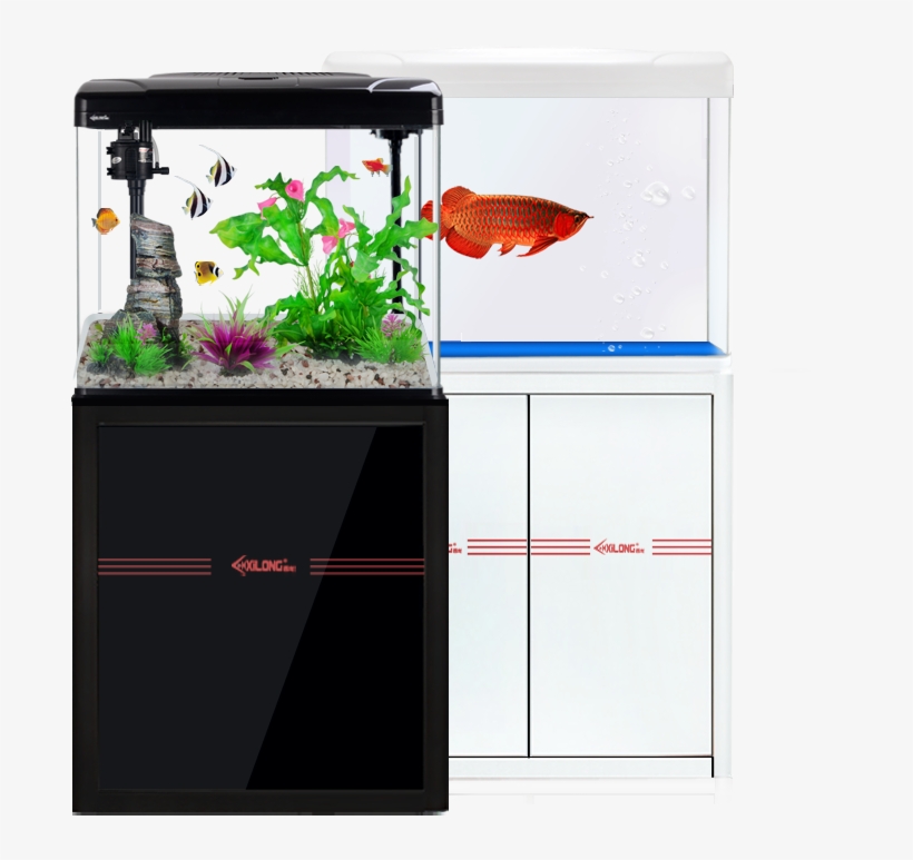 Fish Tank Form - Aquarium, transparent png download