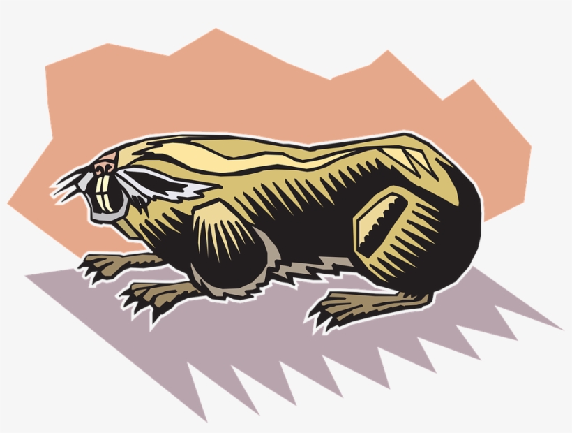 Grizzly Clipart Wolverine - Illustration, transparent png download