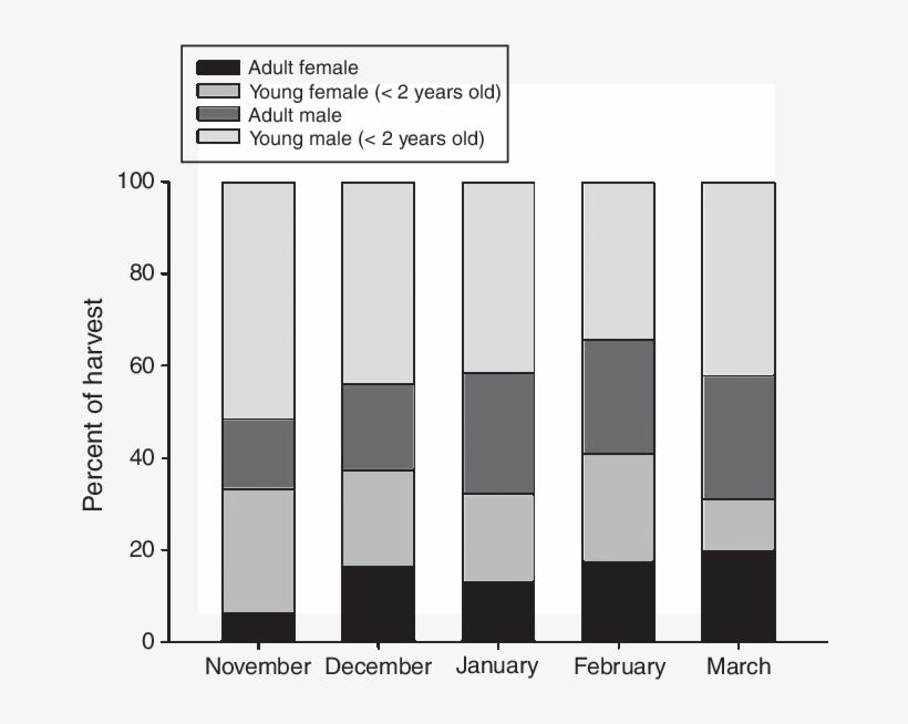 The Sex And Age Distribution Of Harvested Wolverines - Percentage Of Total Graph, transparent png download