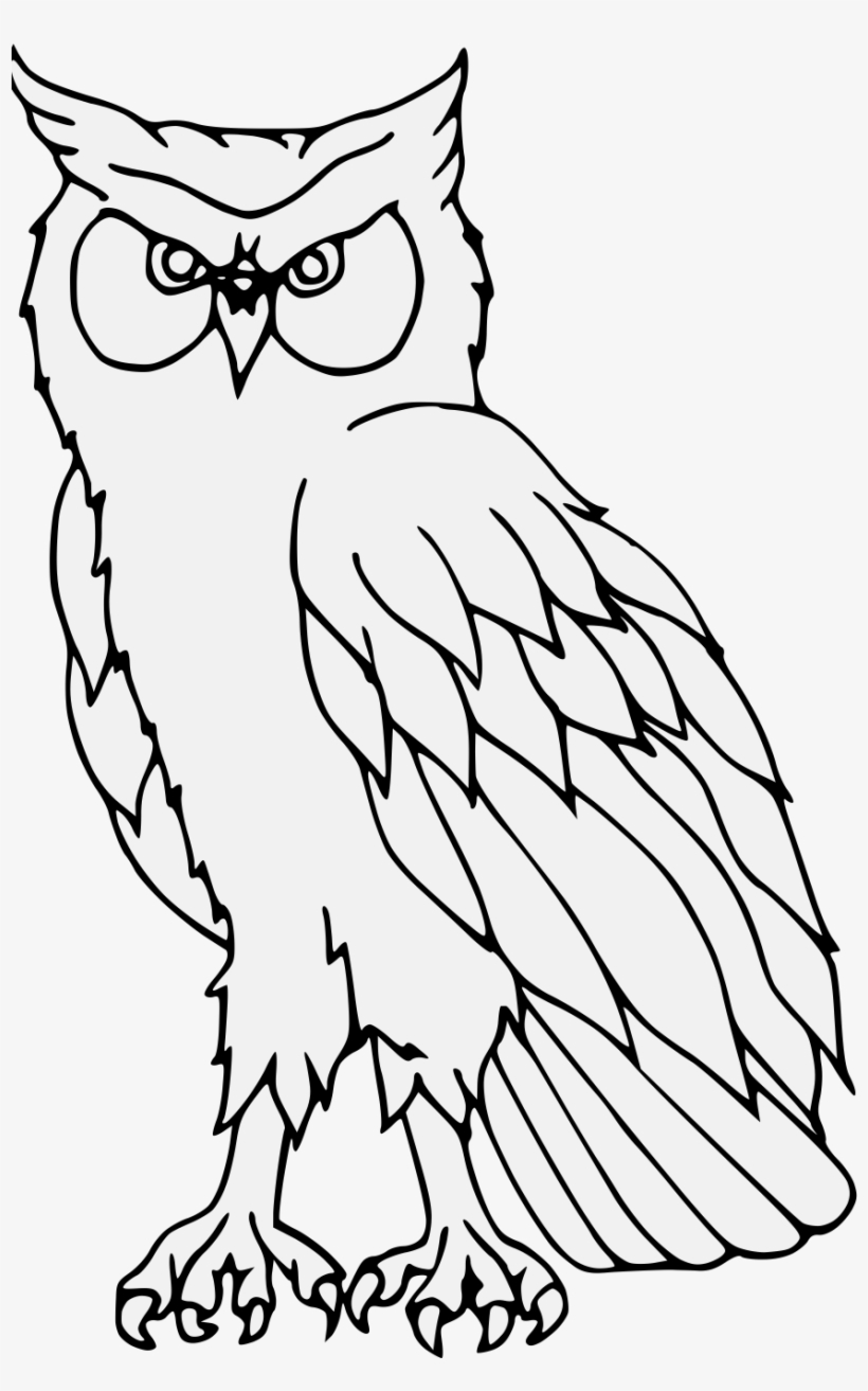 Details, Png - Eastern Screech Owl, transparent png download