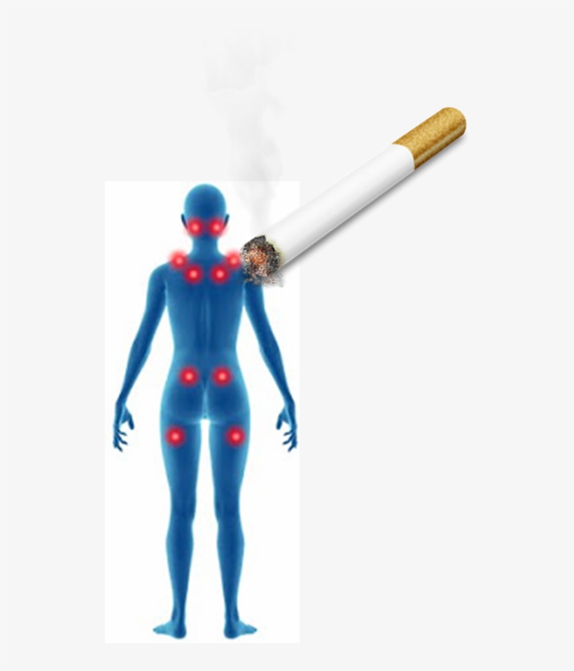 Cigarette Png Transparent Background, transparent png download