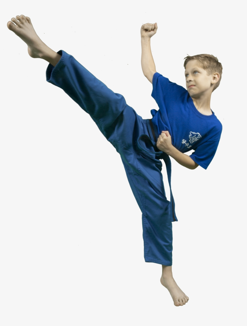 At Lion's Den Karate In Saint Augustine, Florida, Our - Kung Fu, transparent png download