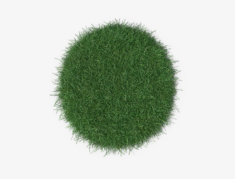 Easy To Install Yourself - Chlorophyta, transparent png download