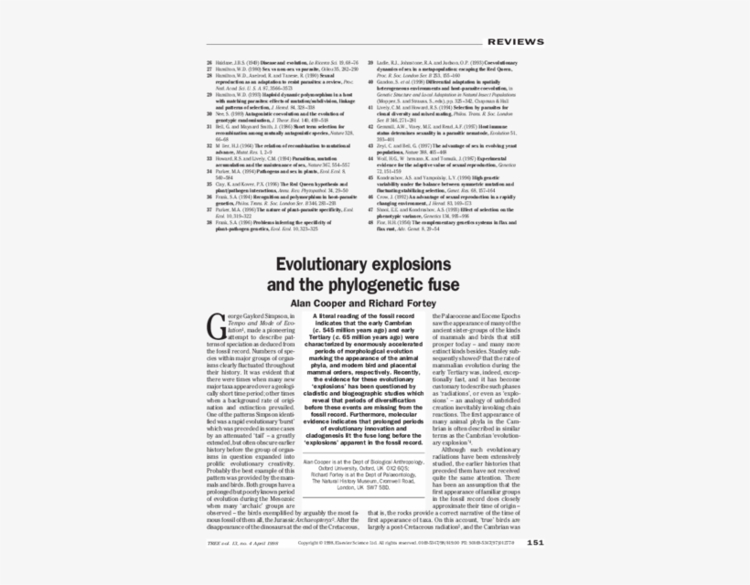 Pdf - Document, transparent png download