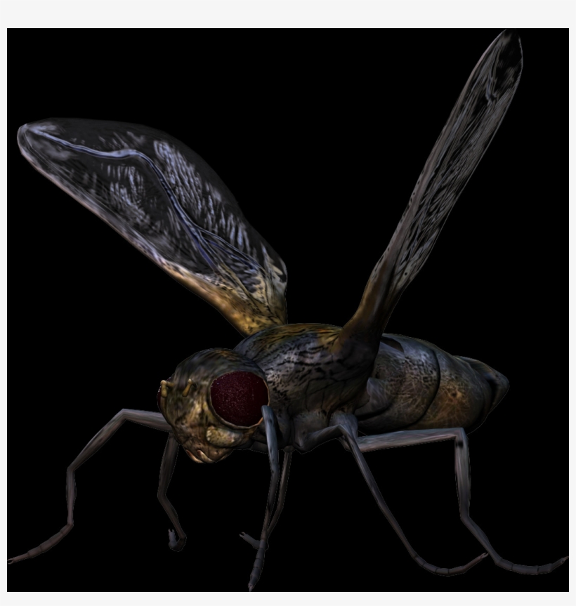 Check Out The Complete Collection Of Insect Free Png - Dragonfly, transparent png download