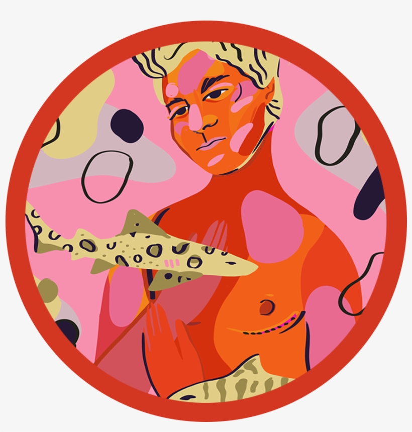 Shark Bites, transparent png download