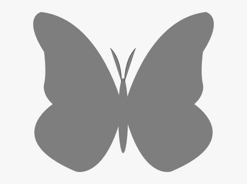 Butterfly Png, transparent png download