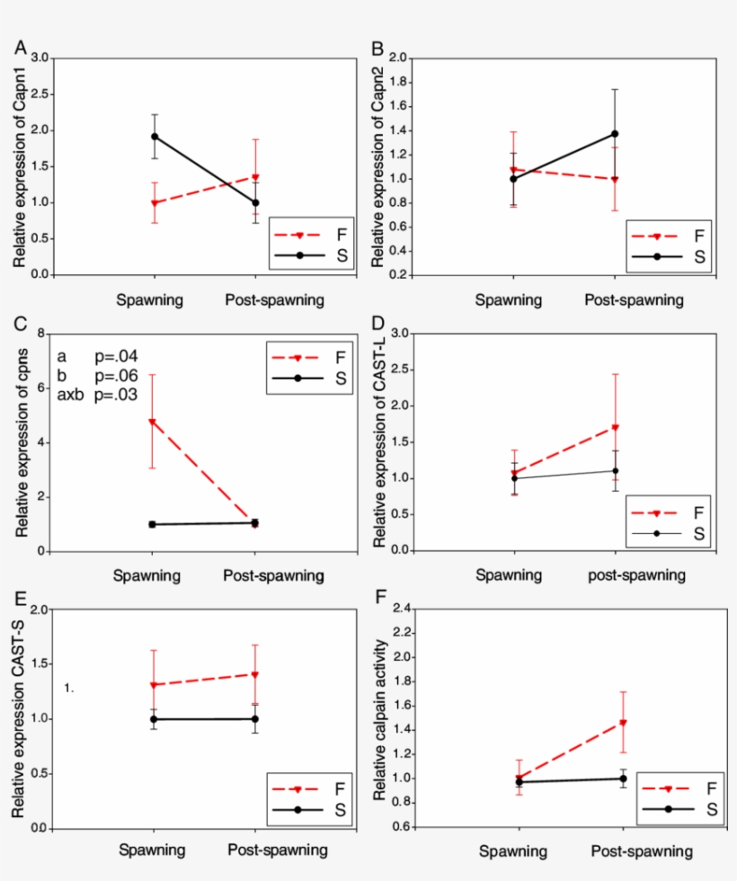 Effects Of The Season And Fertility On Rainbow Trout - Diagram, transparent png download