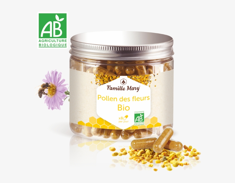 Description - African Daisy, transparent png download