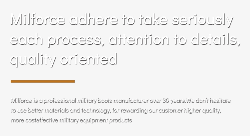 Military Boots Manufacturers,china Desert Boots,jungle - Document, transparent png download