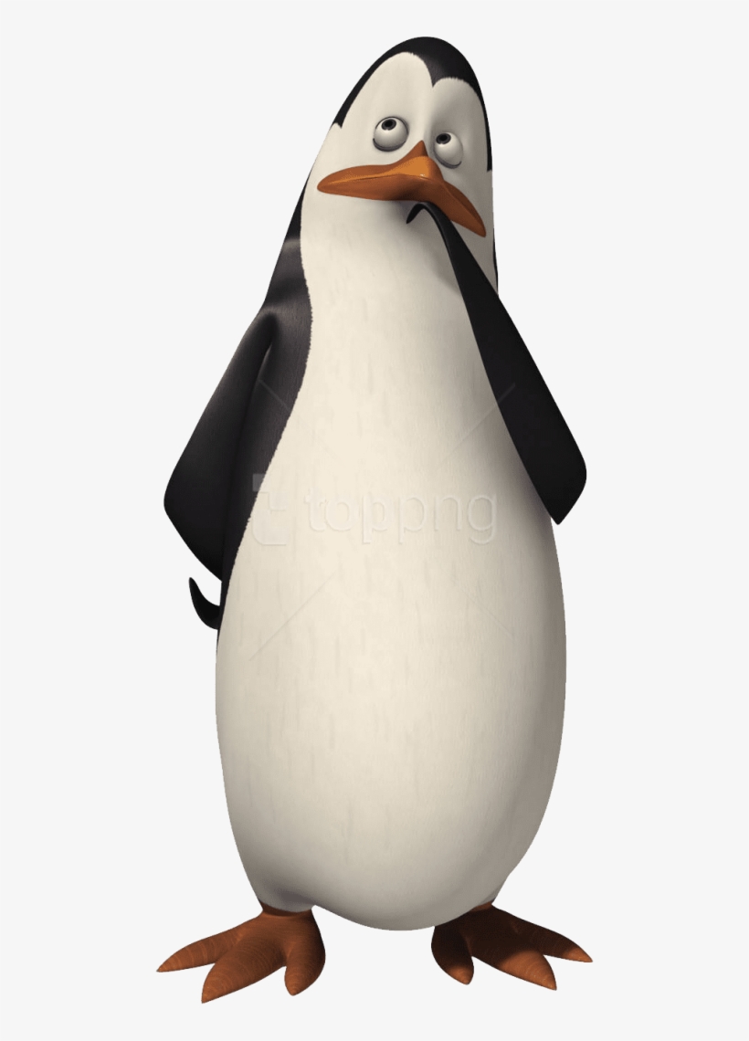 Download Madagascar Penguin Clipart Png Photo - Kowalski Pinguinos De Madagascar, transparent png download