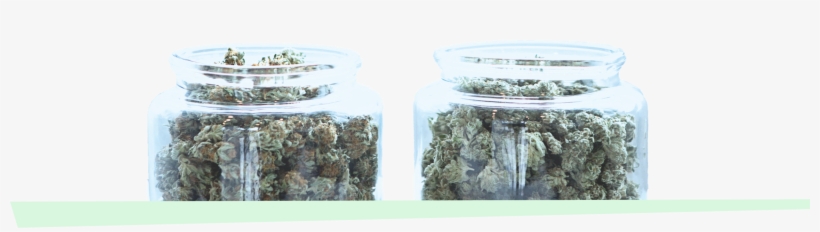 Select From A Variety Of Premium Quality Marijuana - Moss, transparent png download