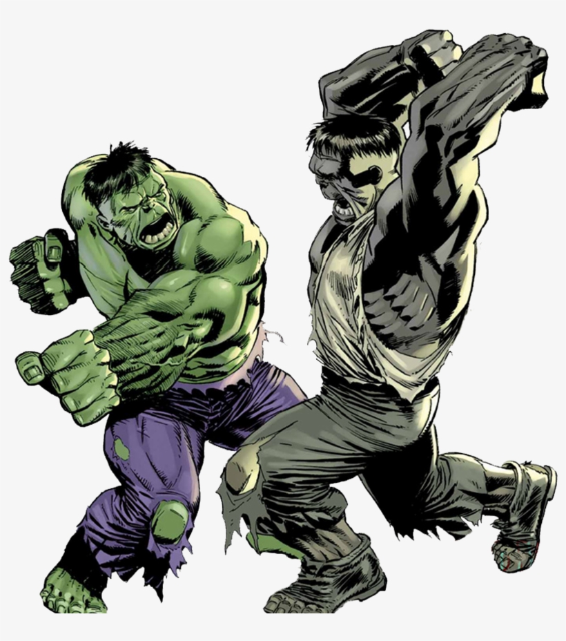 Fight By Bobhertley - Incredible Hulk Tempest Fugit, transparent png download