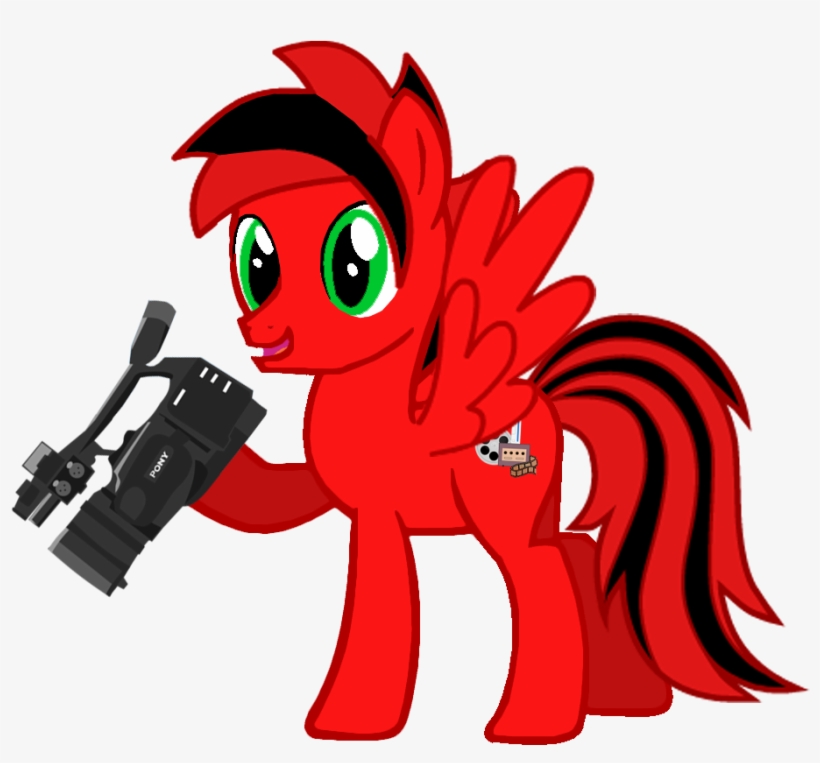 Wiicubefilms Holding A Camera 2 234 Kb - Cartoon, transparent png download