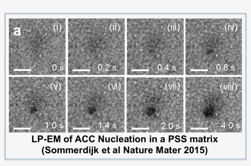 Inter Particle Interactions Will Be Tuned And The Effect - Becker's Hospital Review, transparent png download