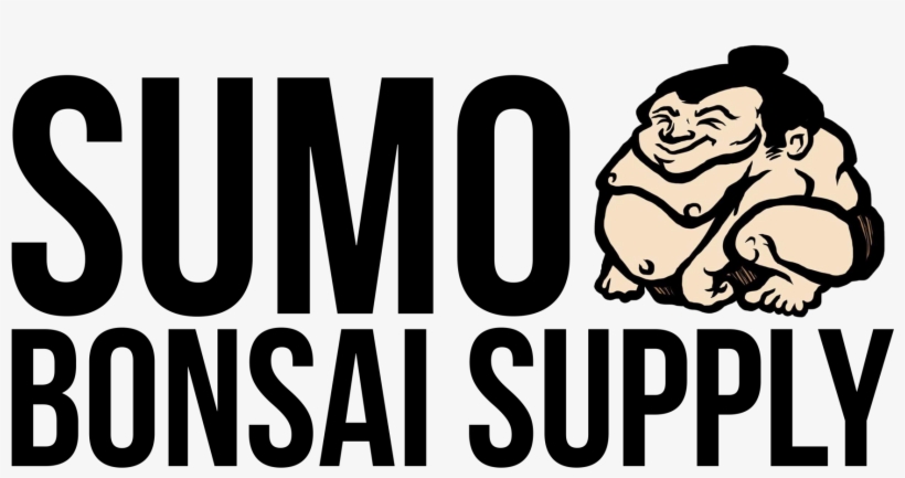 Never Skip Monday, transparent png download