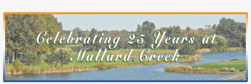 What's New - Grass, transparent png download