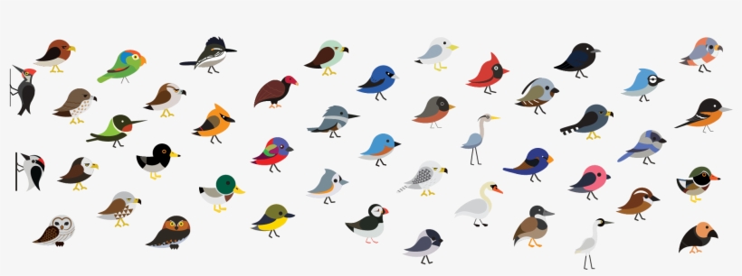 Blackbird, transparent png download