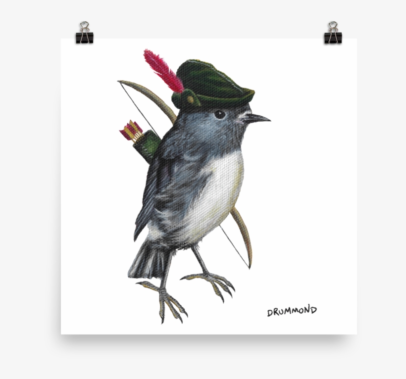 South Island Robin Hood - Robin Bird With A Robin Hood Hat, transparent png download