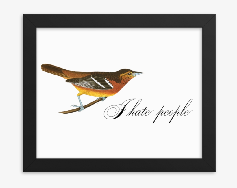 I Hate People Framed - Hatred, transparent png download