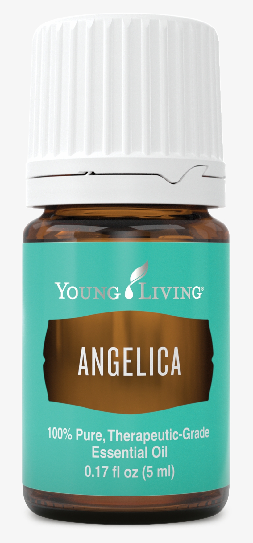 Angelica - Young Living Blue Tansy Png, transparent png download