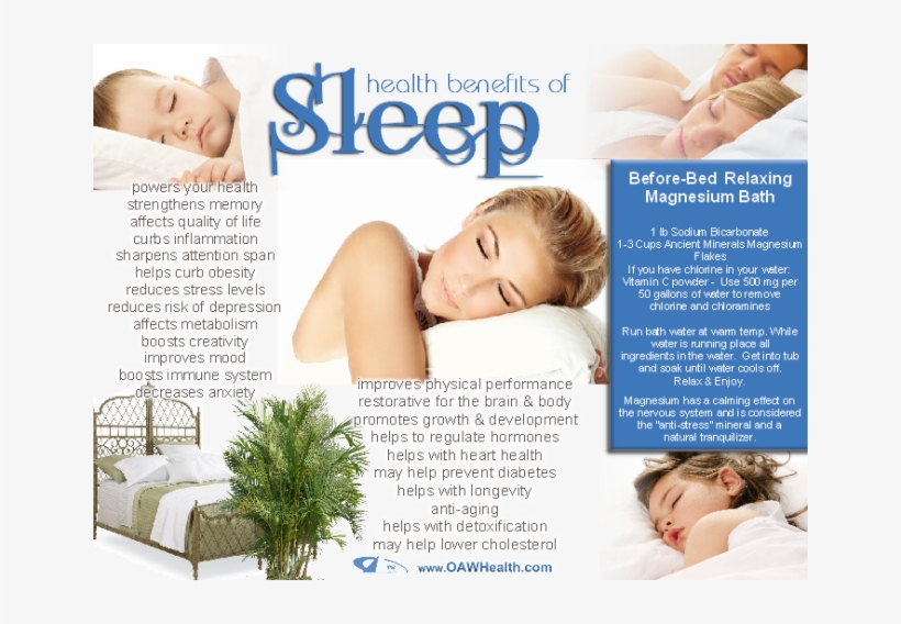 Sleep Would Be A Very Crucial Element In The Survival - Sleep, transparent png download