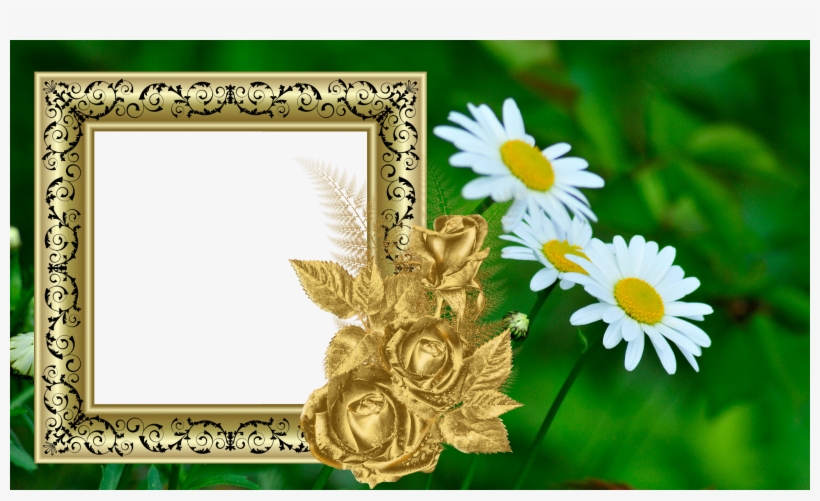 Http - //transprentpngarts - Blogspot - In/p/hq Photo - 植物 壁纸, transparent png download