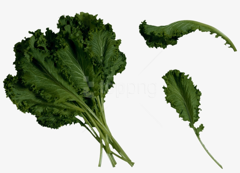 Download Salad Png Images Background - Kale Clipart Transparent Background, transparent png download
