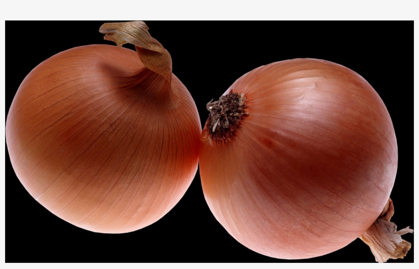 Onion, Free Pngs - Yellow Onion, transparent png download
